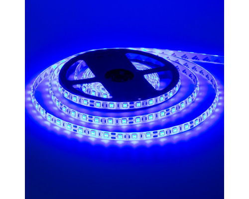 Светодиодная лента синяя 24V smd5050 60LED/м IP65