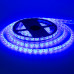Купить Светодиодная лента синяя 24V smd5050 60LED/м IP65