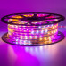 Купить Мигающая лента светодиодная Multi-Color 220V smd2835 48LED/m 6W/m IP65, 1м