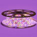 Купить Лента светодиодная Multi-Color 220V smd2835 180LED/m 10W/m IP65, 1м